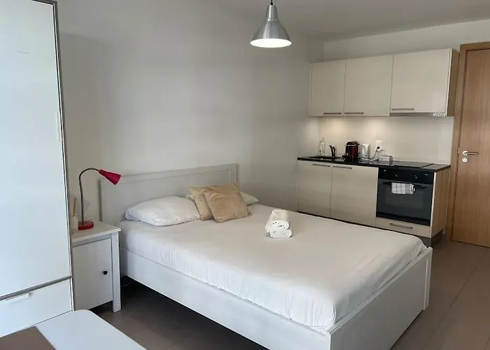 Joli Studio Confortable ! Apartment